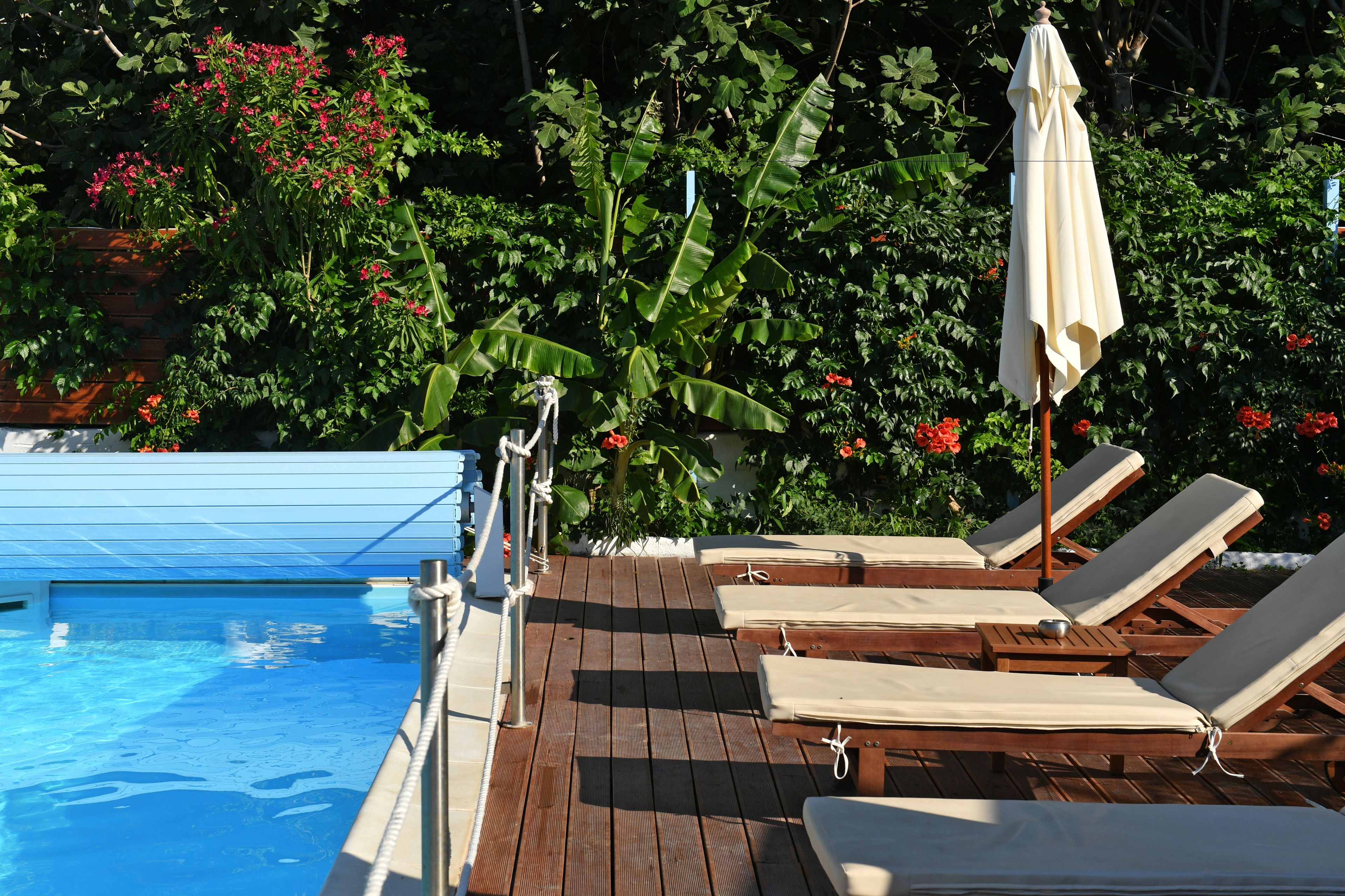 A poolside area with lounge chairs and an umbrella, surrounded by lush greenery and flowering plants.