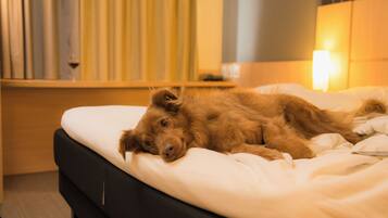 A dog lying on a bed in a hotel room.