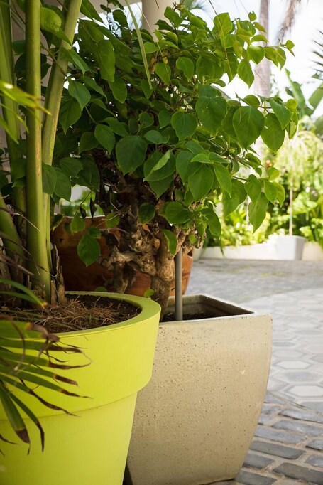 Numero Uno Beach House - Image 106