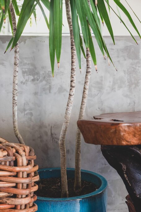 Numero Uno Beach House - Image 64