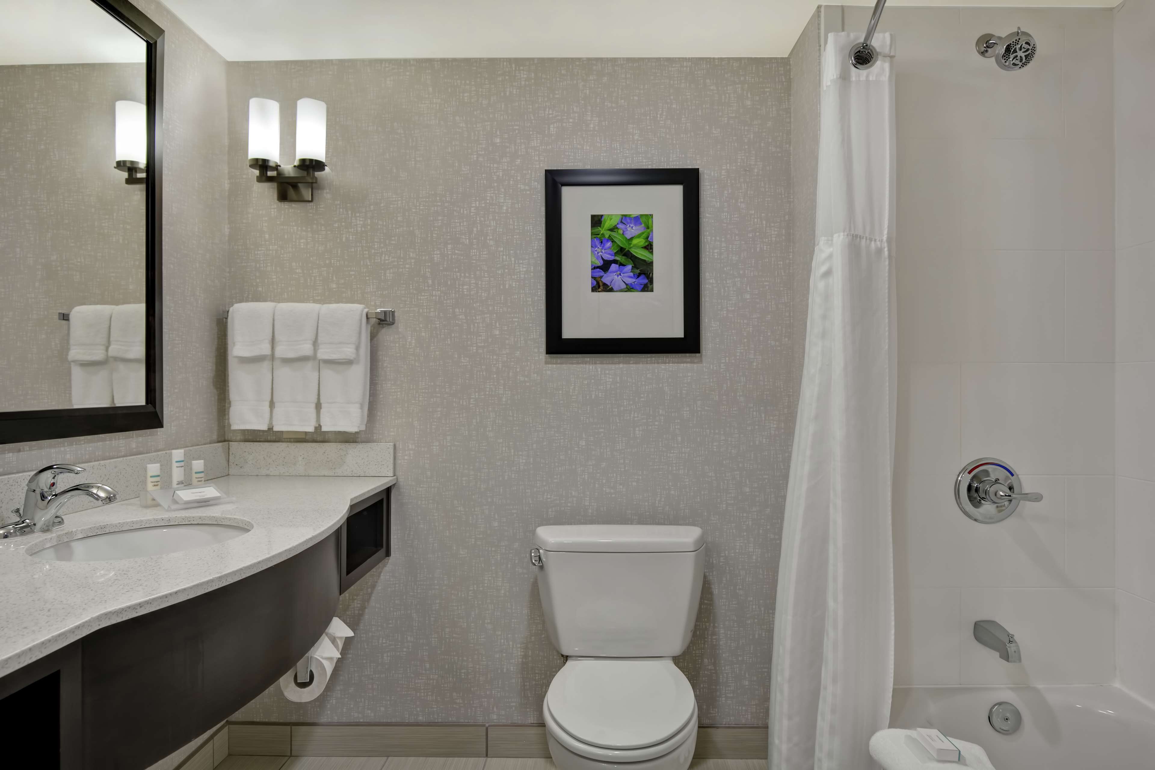 combined shower/bathtub, free toiletries, hair dryer, towels