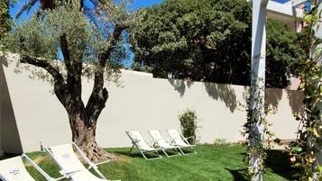A backyard with a palm tree, a white wall, and three white lounge chairs.