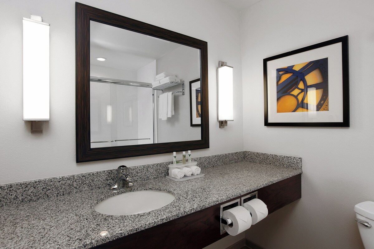 A bathroom with a granite countertop sink, a large mirror, a framed abstract painting, and a toilet paper holder.