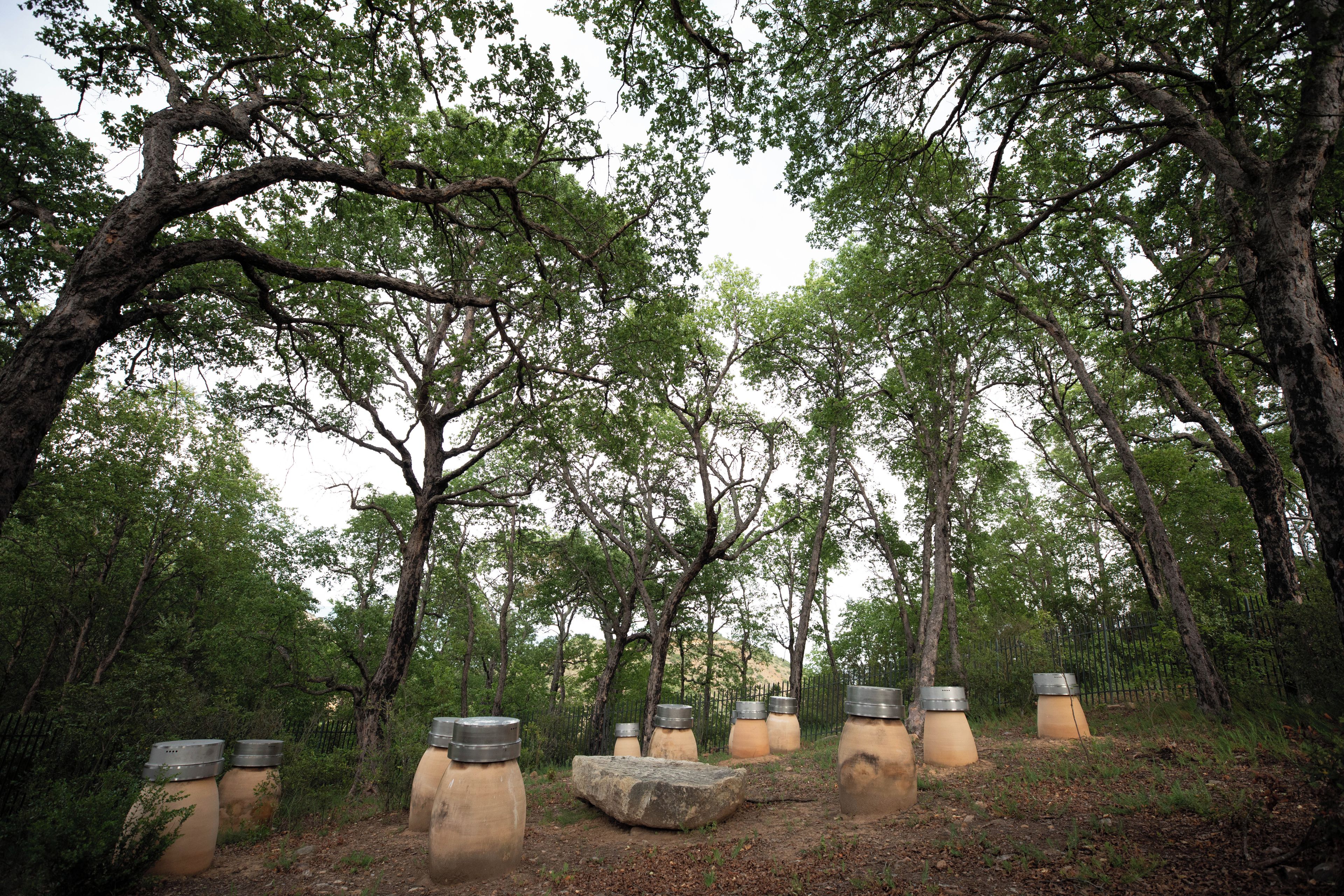 Un área boscosa con grandes estructuras de piedra, posiblemente para almacenamiento de agua o como parte de un elemento decorativo de jardín.