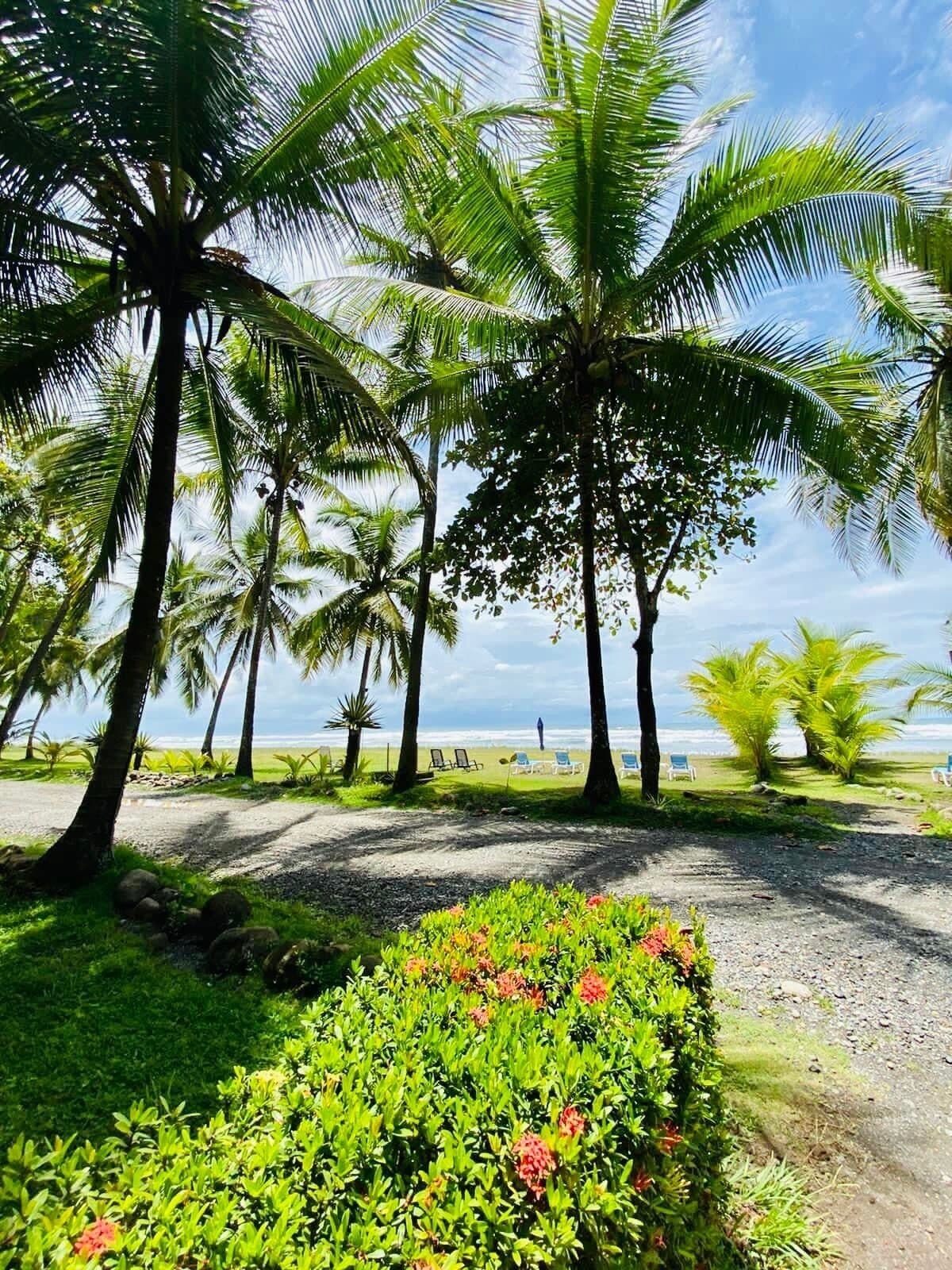 Foto - Hotel Delfin Playa Bejuco