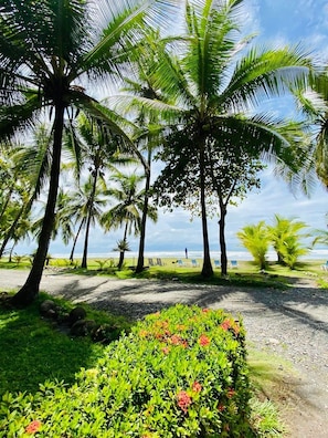 Exterior - Hotel Delfin Playa Bejuco (Parrita)