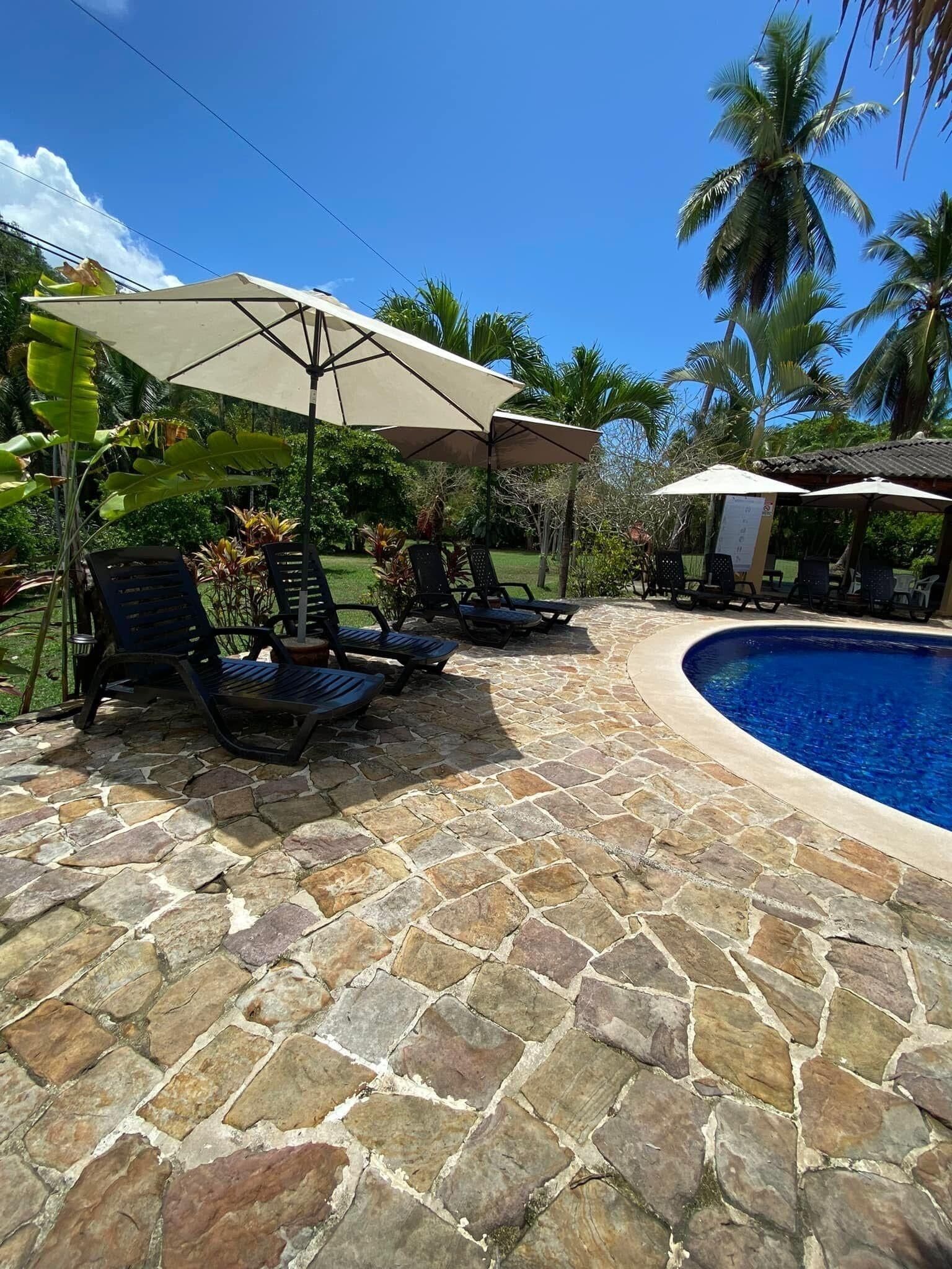 Área de piscina com piso de pedra, espreguiçadeiras e guarda-sóis, cercada por palmeiras e vegetação.