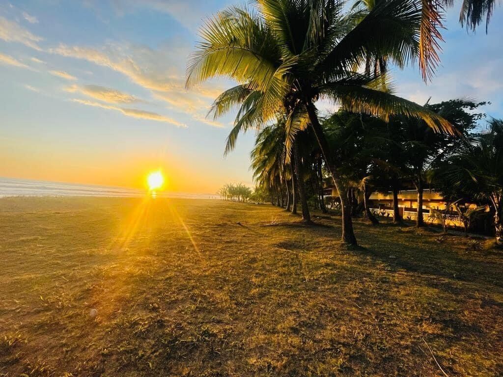 A beach scene with palm trees and a sunset.