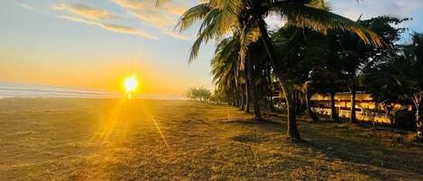 A beach scene with palm trees and a sunset.