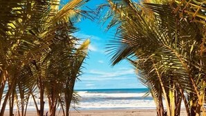 A beach pathway lined with palm trees leading to the ocean. - Hotel Delfin Playa Bejuco (Parrita)