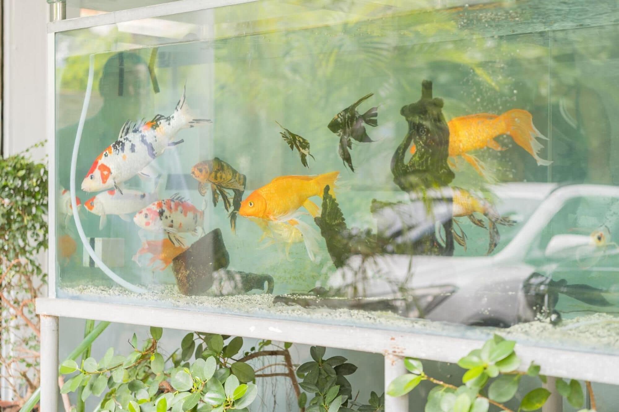 Foto - Hostal San Francisco de Asis