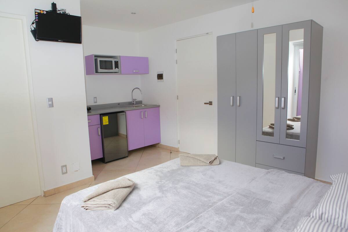 A bedroom with a bed, a wardrobe, a bathroom with a sink, and a small kitchen area with a microwave.