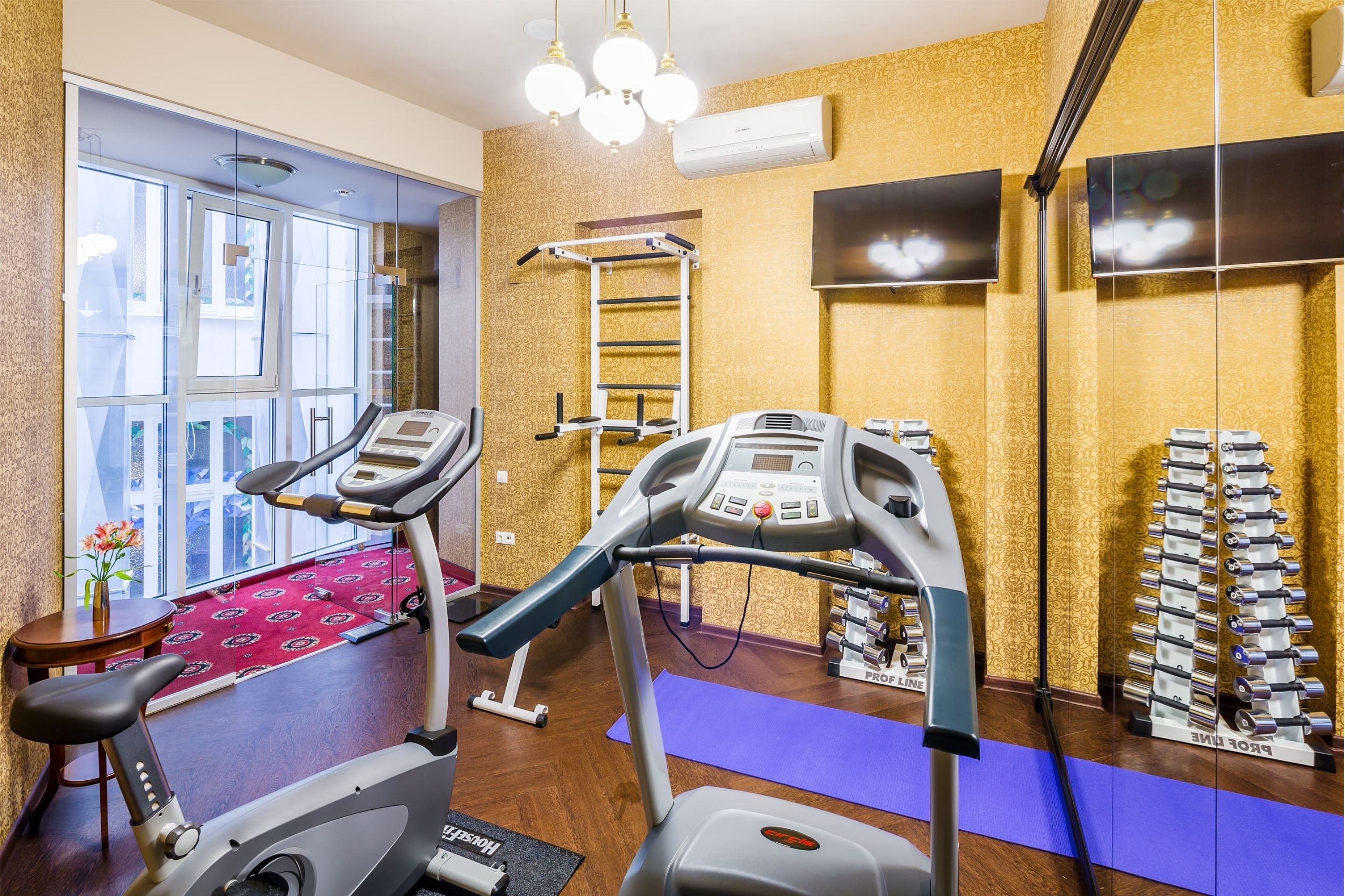 A gym with exercise equipment, a treadmill, a stationary bike, a weight bench, and a wall-mounted TV.
