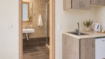 A modern bathroom with a shower, sink, and a mirror.