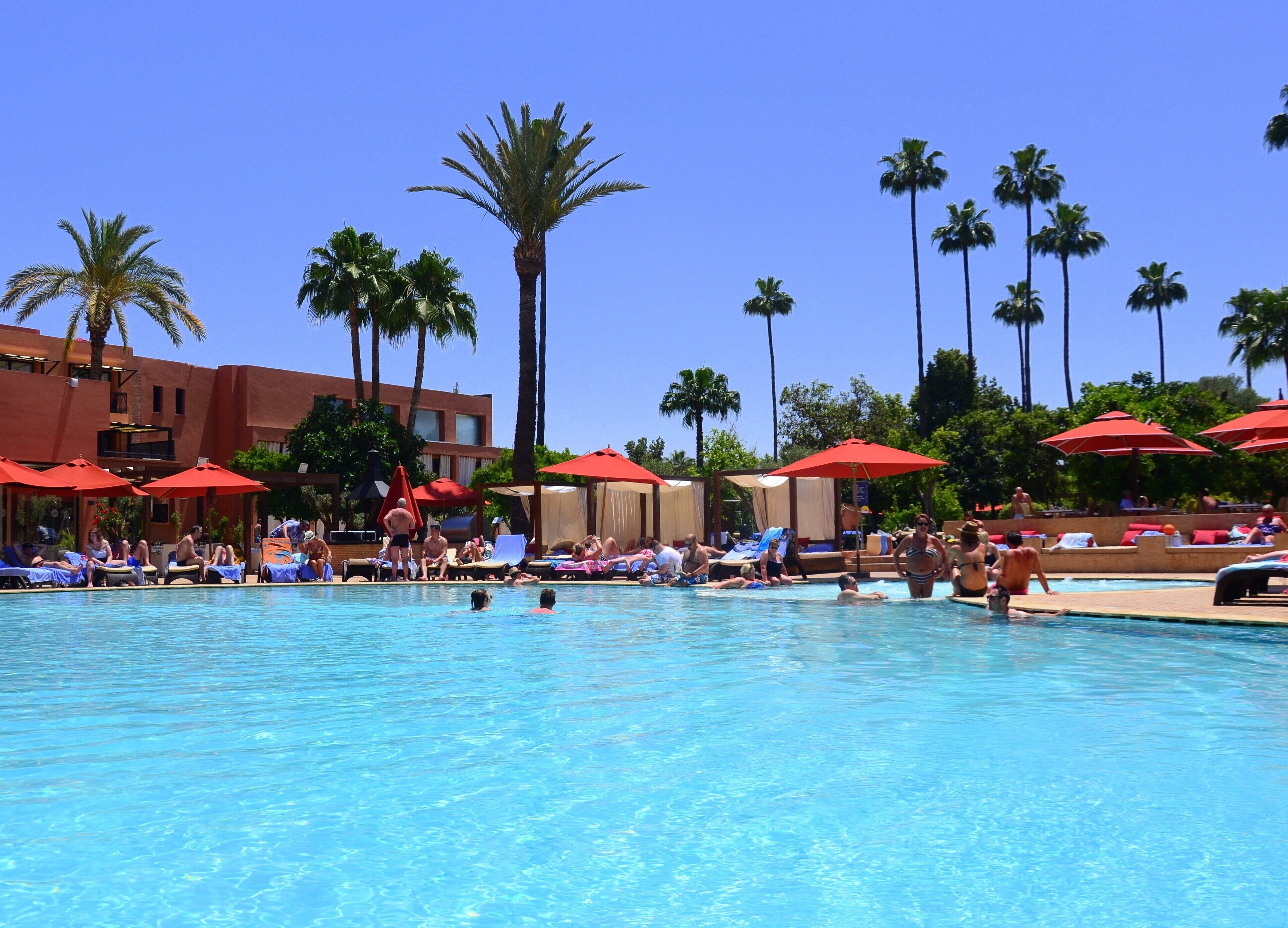 A pool area with multiple red umbrellas, lounge chairs, and palm trees.