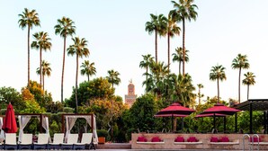 A pool area with lounge chairs and umbrellas, surrounded by tall palm trees and a distant building. - TUI BLUE Medina Gardens – Adults Only – All Inclusive (Marrakech)