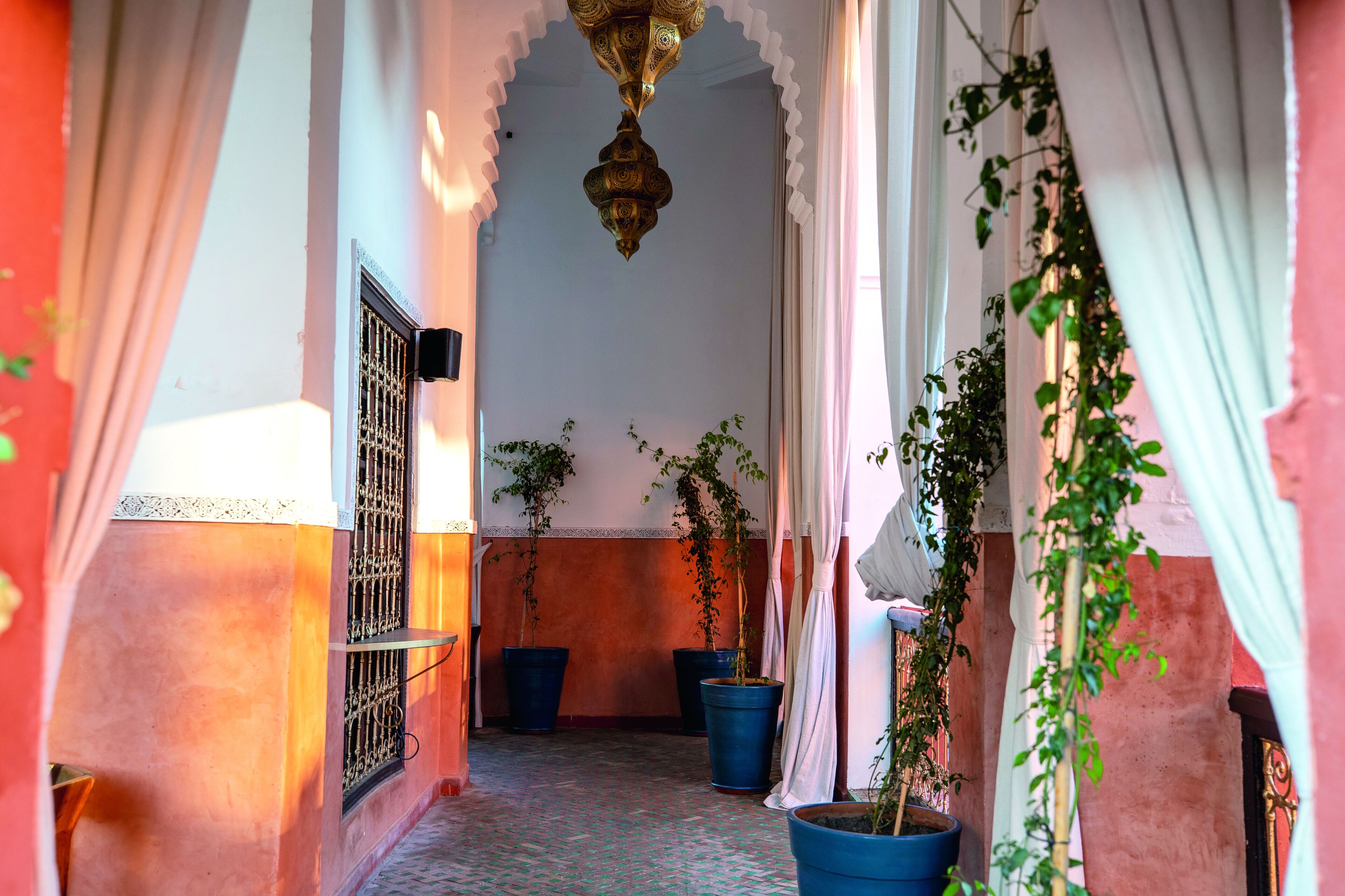 Un couloir orné de plantes en pot, un luminaire décoratif au plafond et une fenêtre grillagée.