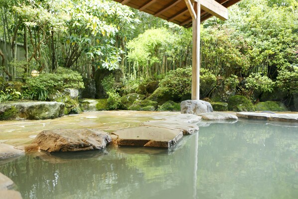 A serene hot spring area with natural rock formations and lush greenery. - Mount View Hakone (Hakone)