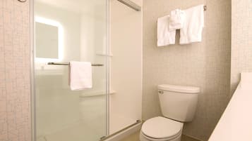 A modern bathroom with a glass-enclosed shower, a toilet, and a towel rack with two towels.