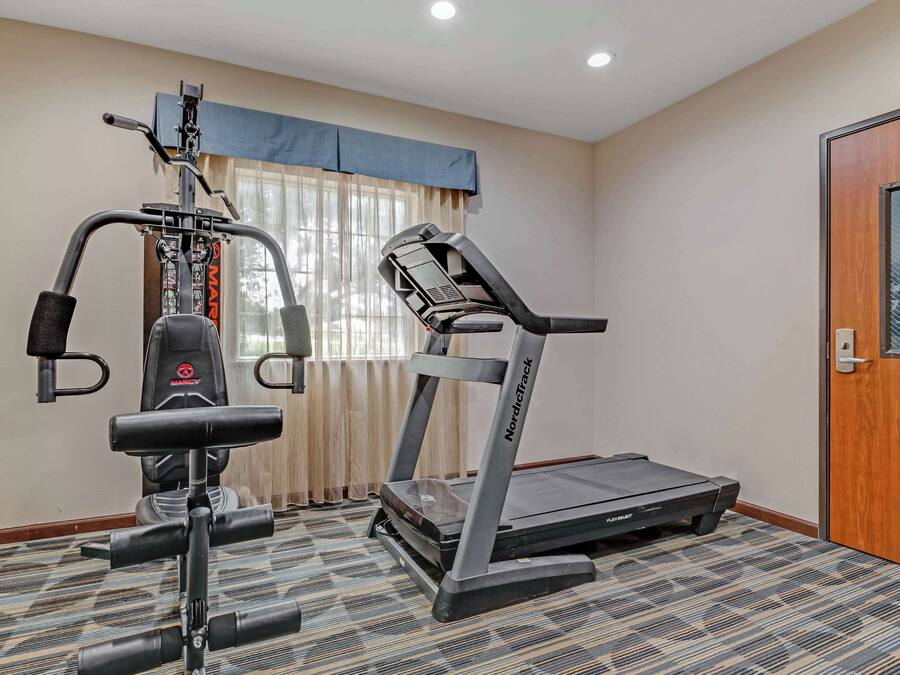 A gym with a treadmill, weight bench, and a rowing machine.