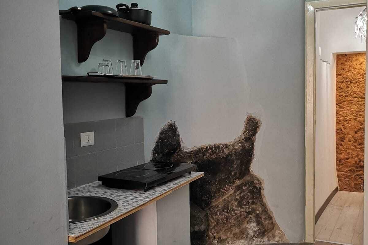 comfort studio, 1 queen bed, city view | private kitchen | fridge