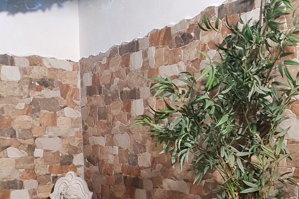 Chambre Supérieure Double ou avec lits jumeaux | Terrasse/Patio