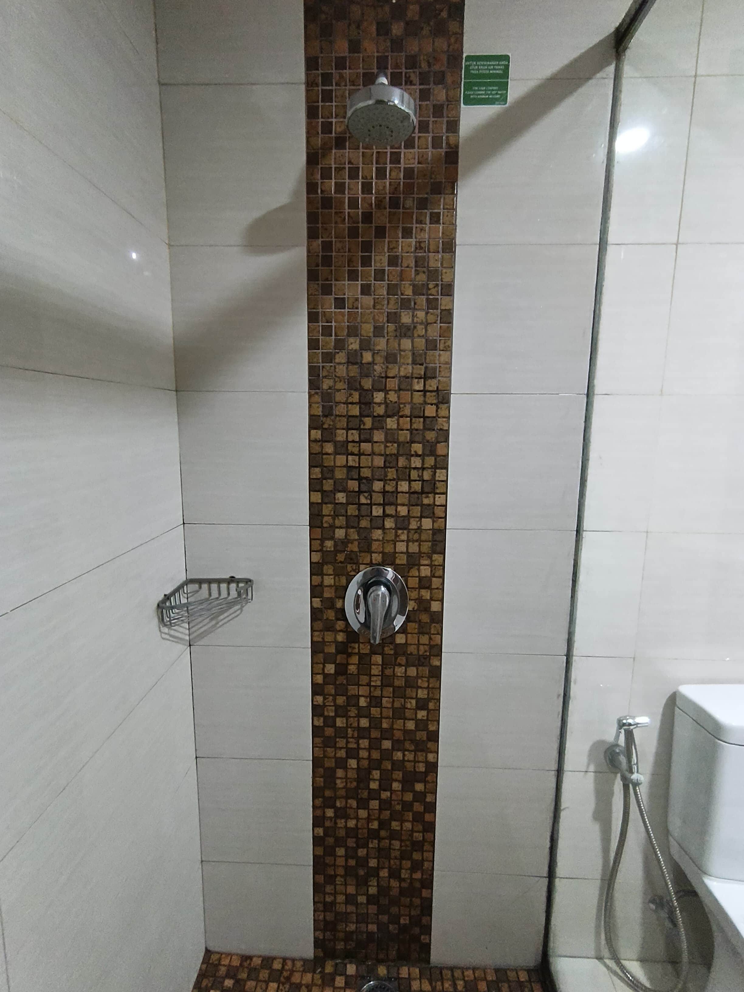 Un espace douche avec un mur carrelé, une pomme de douche et un pommeau de douche amovible.