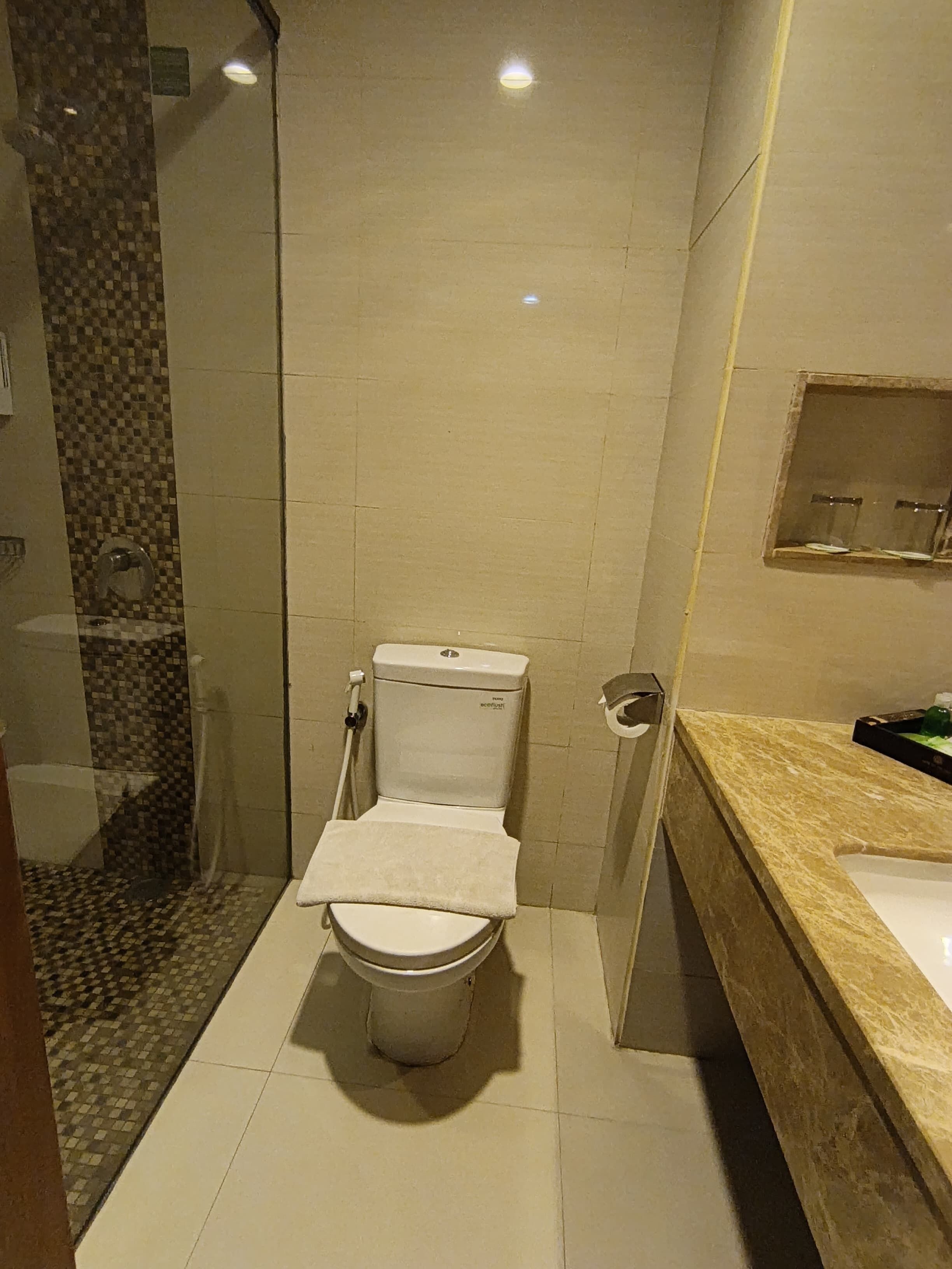A modern bathroom with a toilet, a shower area, and a vanity with a sink.