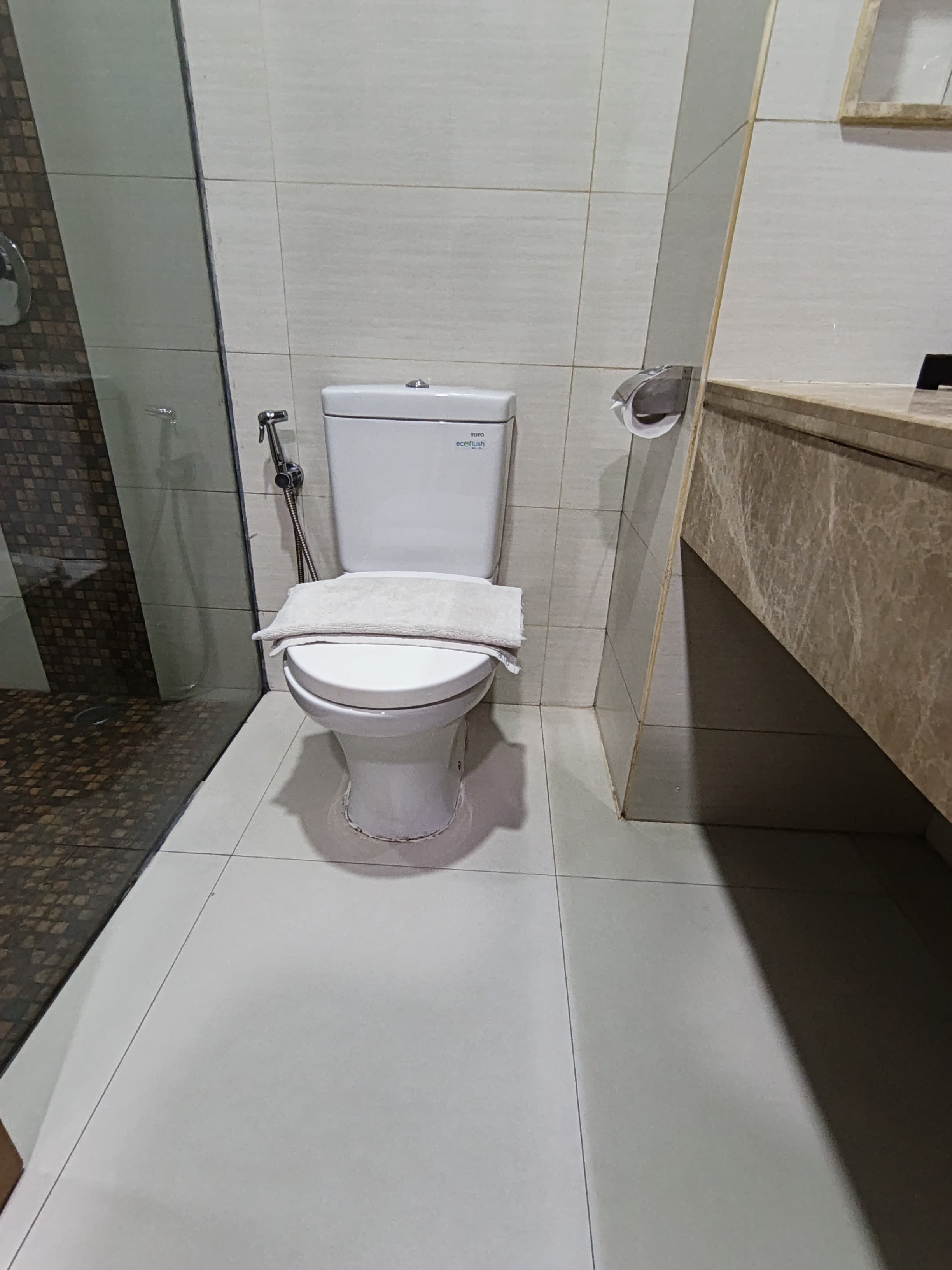 Un bagno con un WC bianco, una doccia e un piano di lavoro in marmo.