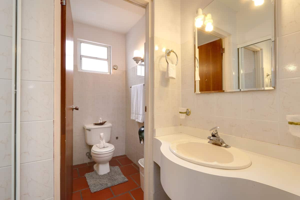 shower, rainfall showerhead, free toiletries, hair dryer