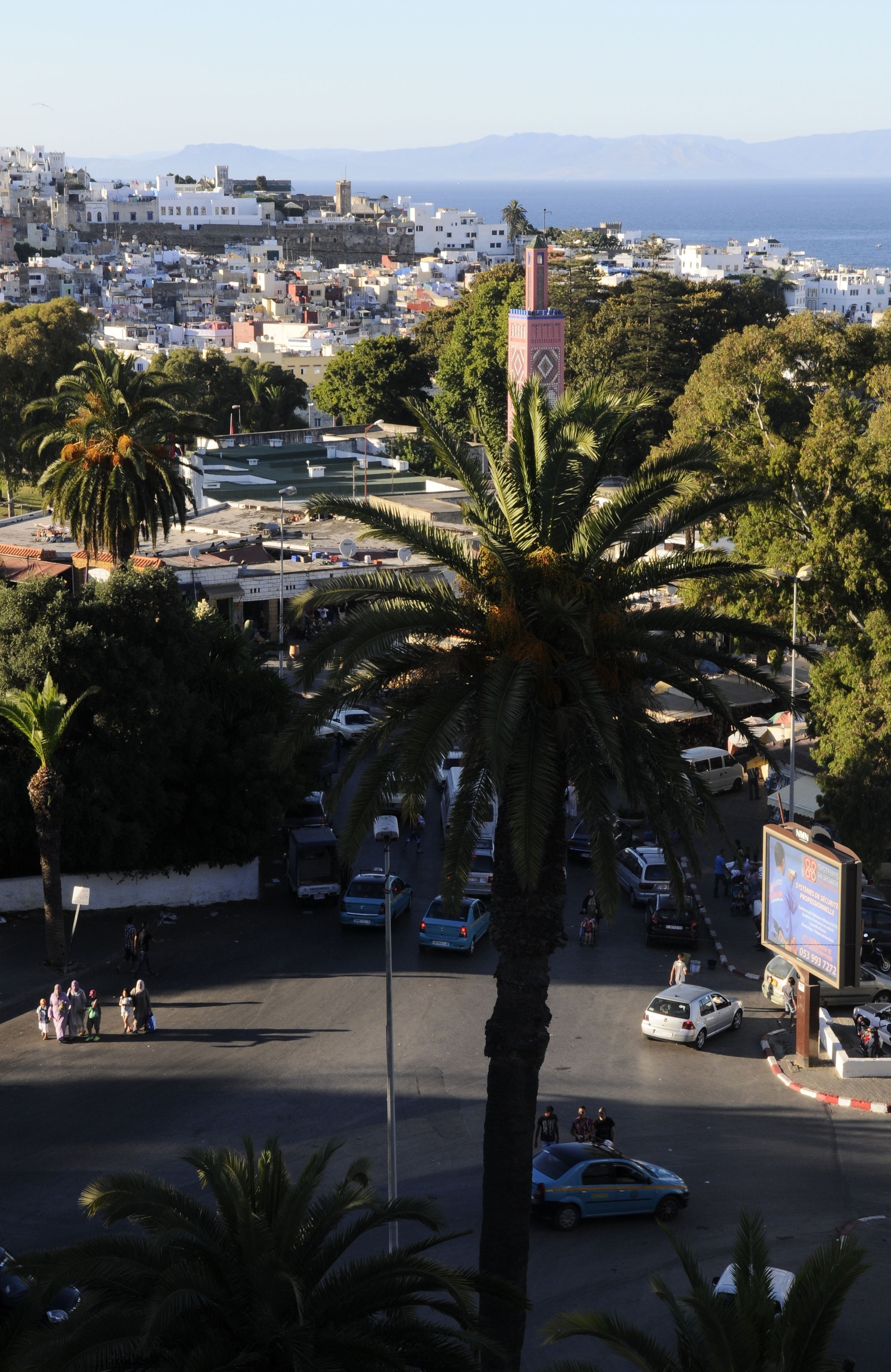 A cityscape with a prominent clock tower, dense urban buildings, and palm trees.