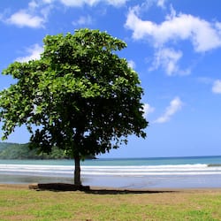 Rannalla, 20 rantabaaria