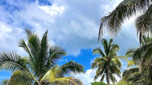 A clear pool with a view of the ocean and palm trees. - Hotel El Sitio Playa Venao (Las Escobas del Venado)