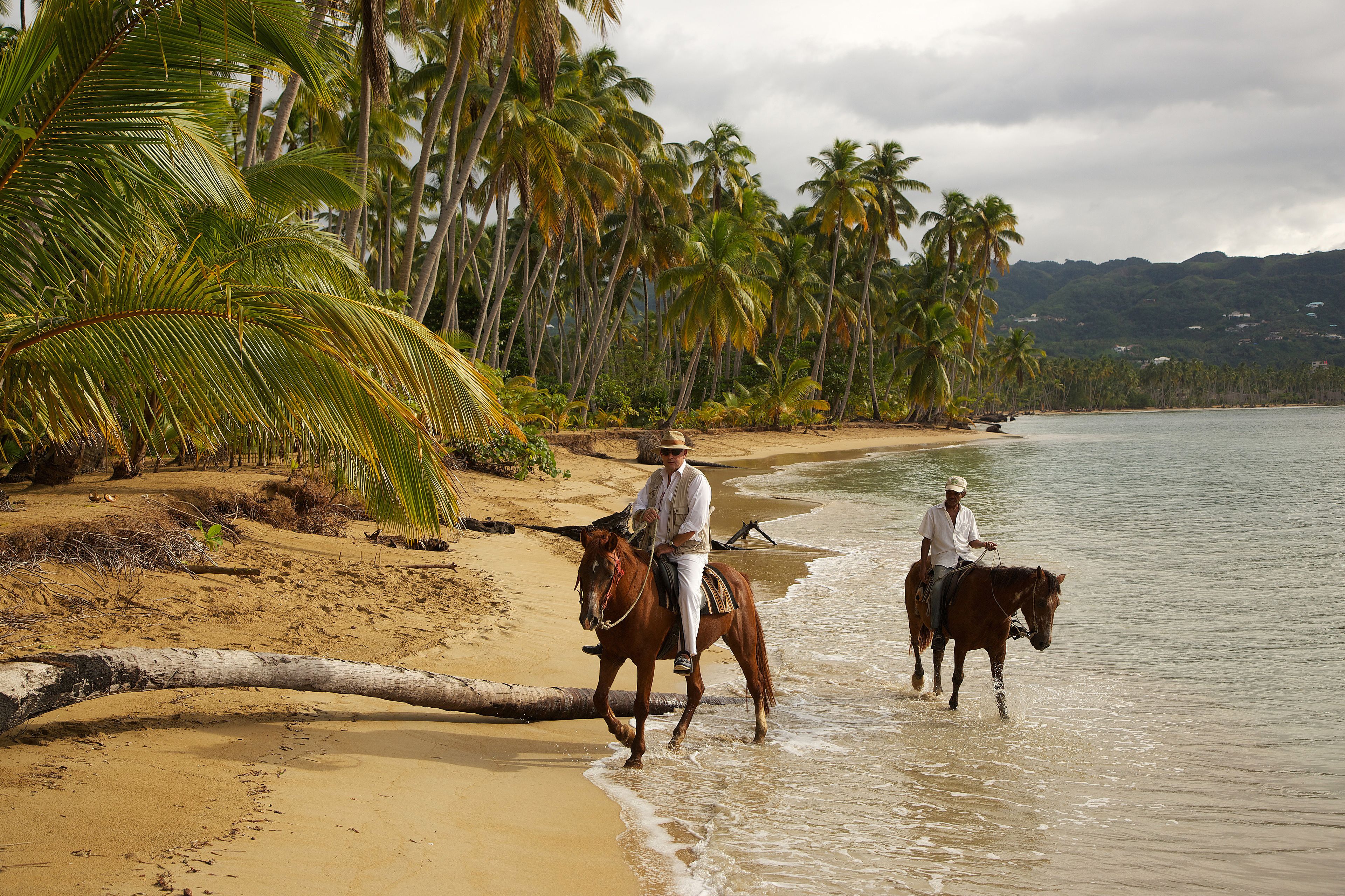 Deux personnes à cheval, se promenant le long d’une plage bordée de palmiers et donnant sur une étendue d’eau.