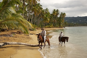 Two people riding horses along a beach with palm trees and a body of water. - Hotel Atlantis (Las Terrenas)