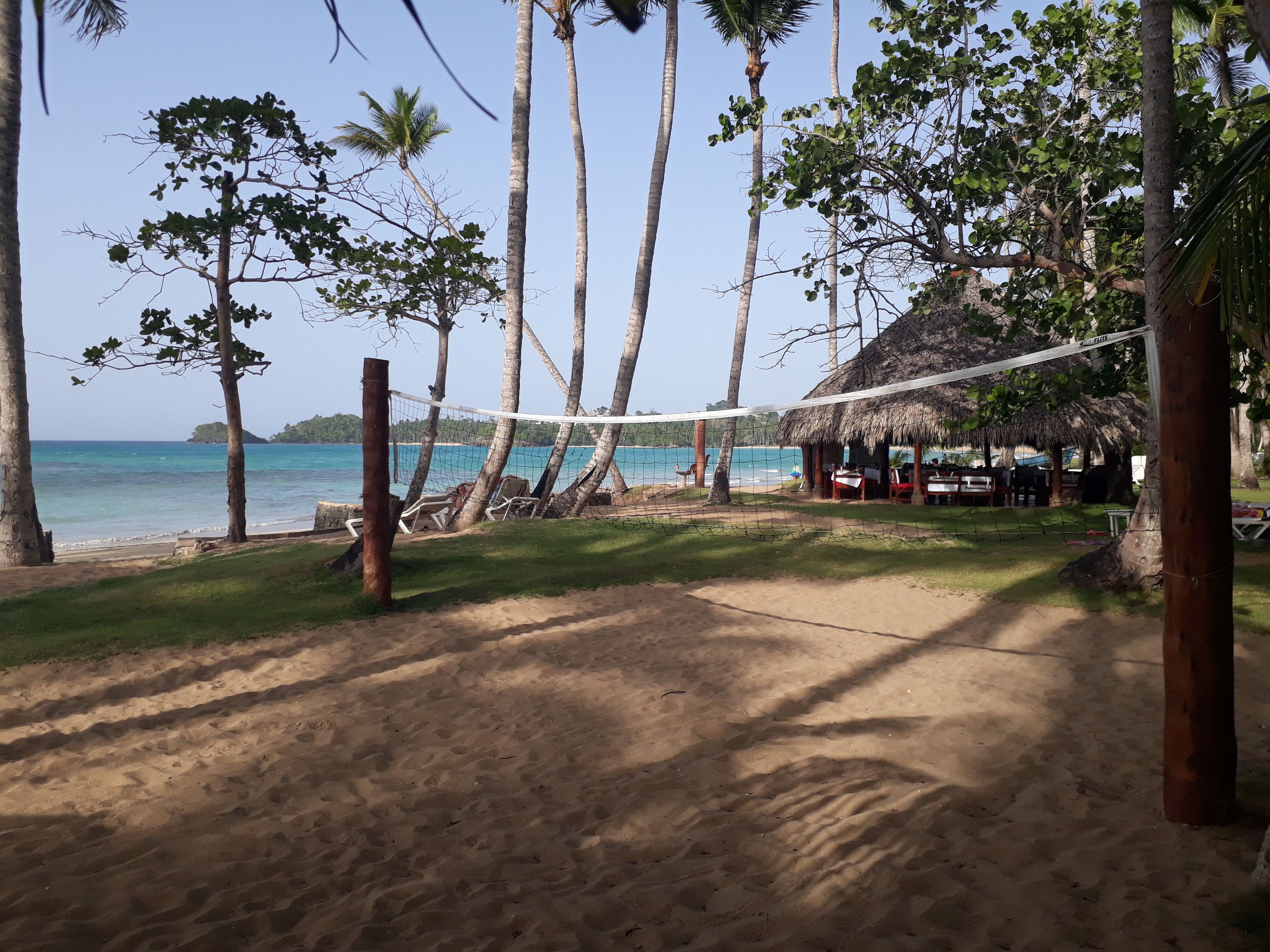 Un terrain de volley-ball de plage avec un filet, entouré de palmiers et bordé d’une hutte à toit de chaume.