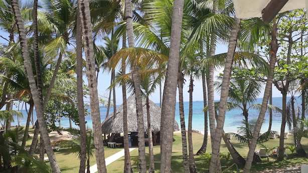 A tropical resort with palm trees, a thatched-roof hut, and a view of the ocean. - Hotel Atlantis (Las Terrenas)