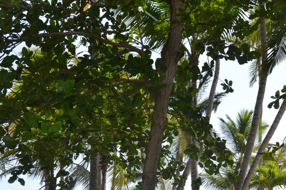 Double Room, Sea View | Premium bedding, in-room safe, blackout drapes, soundproofing