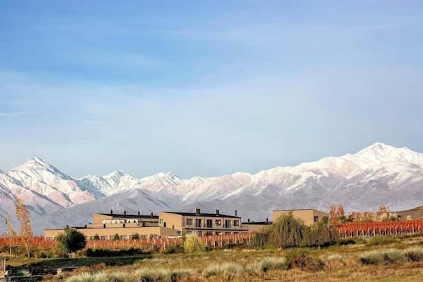 A modern building with a flat roof, surrounded by a landscaped area with trees and shrubs. - Auberge Du Vin, Tupungato, Mendoza (Tupungato)