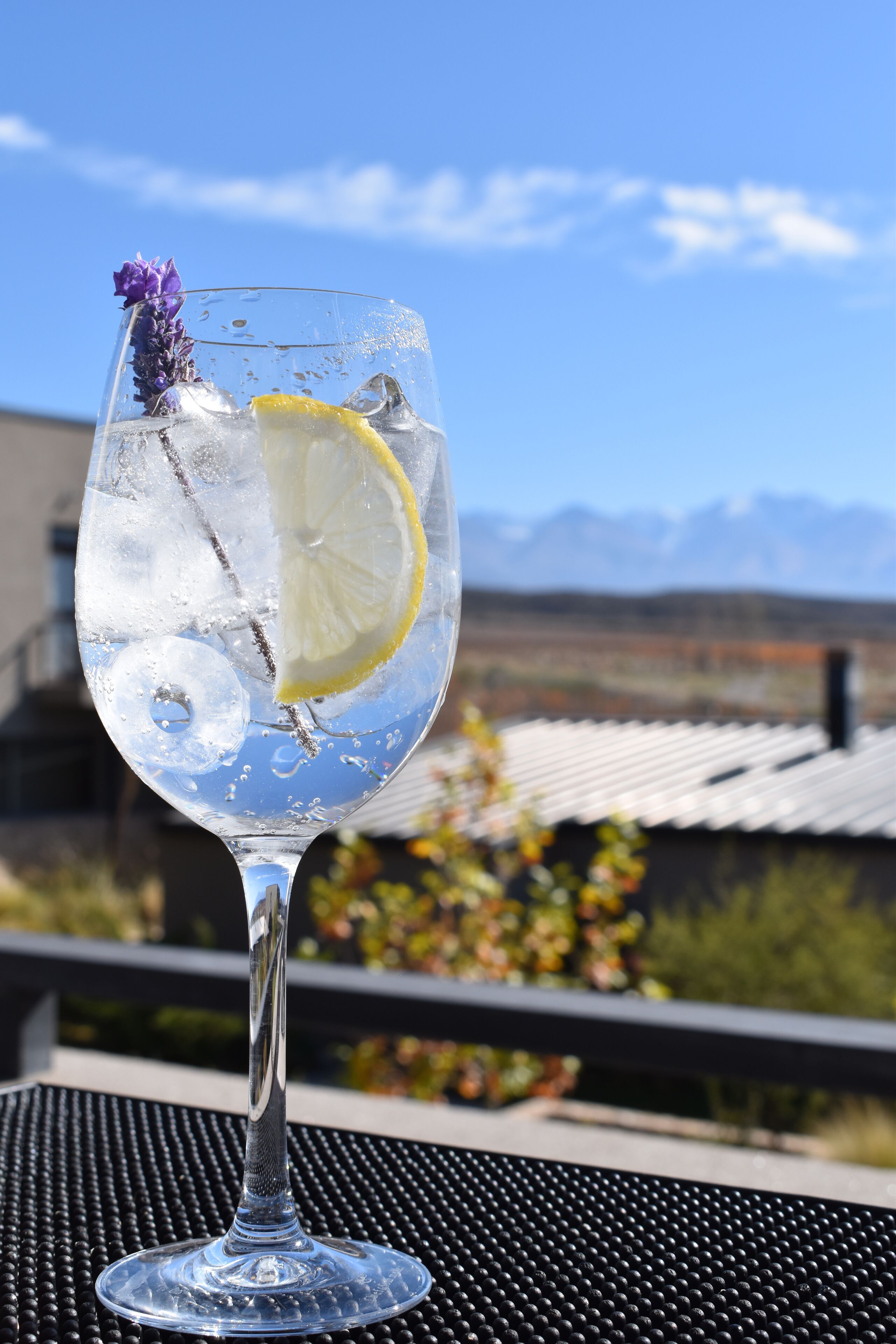 Un vaso transparente con hielo, una rodaja de limón y una flor morada sobre una mesa con superficie de rejilla metálica, frente a un paisaje montañoso.