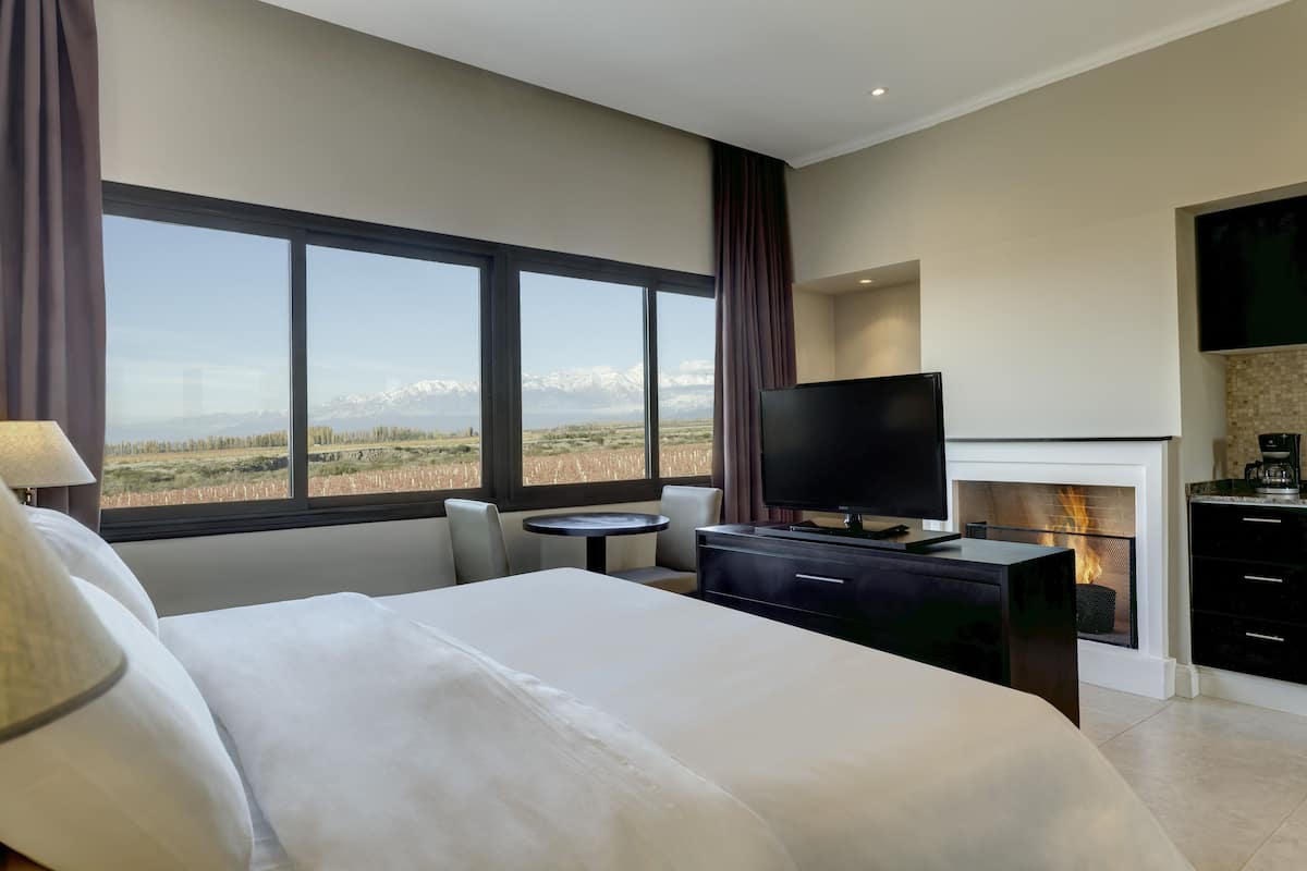 1 slaapkamer, luxe beddengoed, donzen dekbedden, een minibar