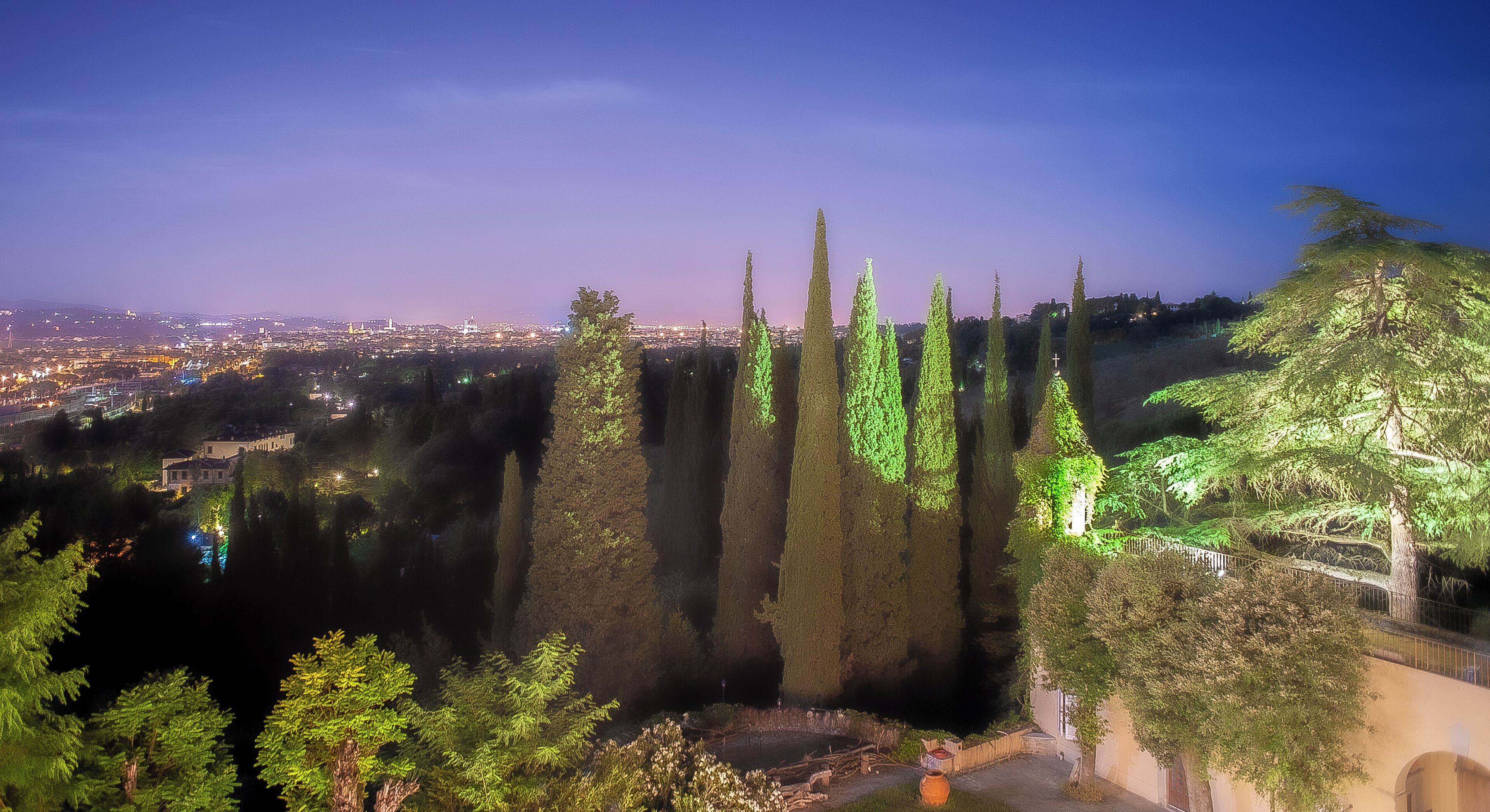 A nighttime view of a cityscape with tall, slender trees and a distant city skyline.