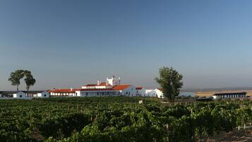 Vista desde la propiedad