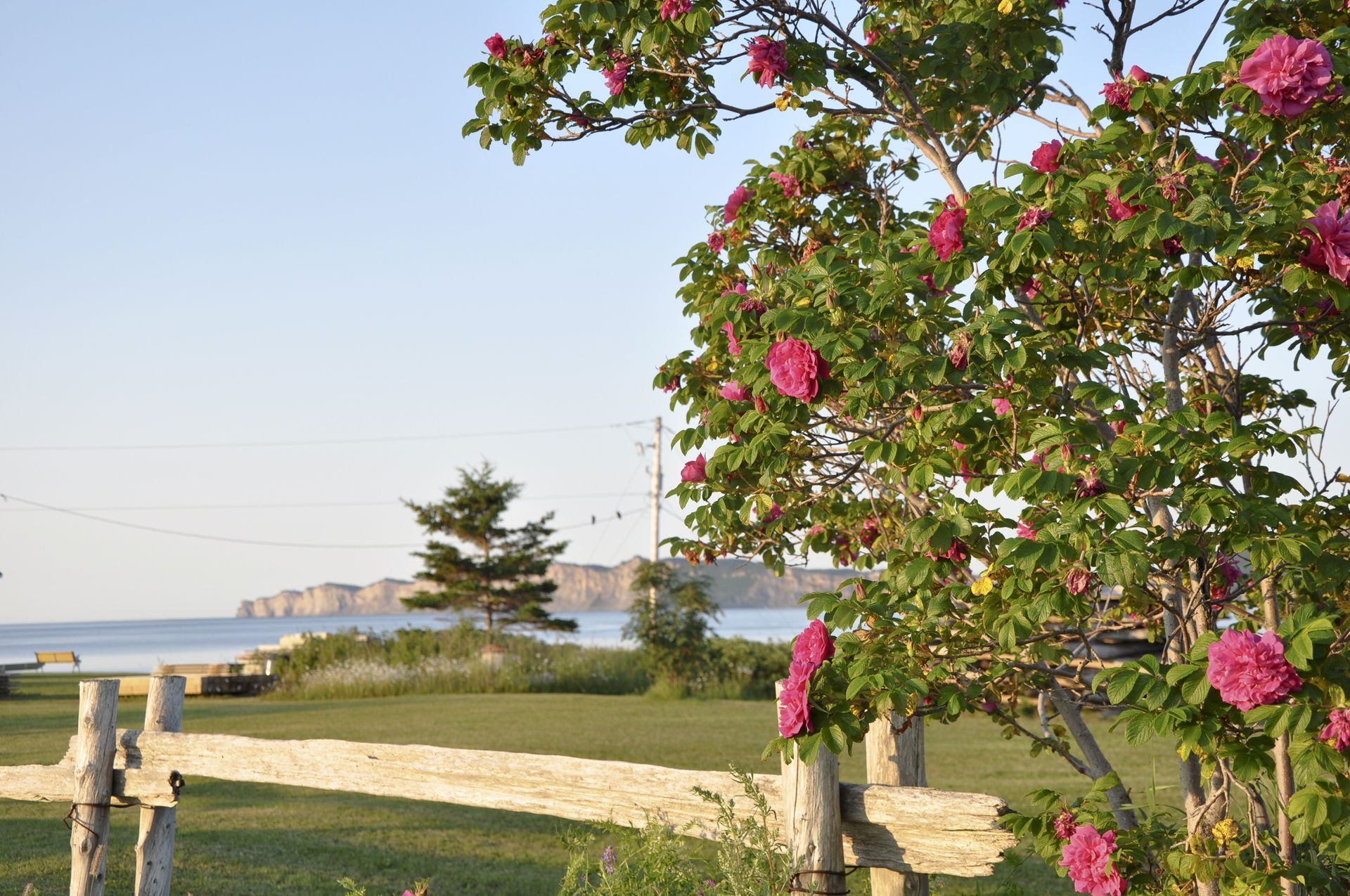 View from property