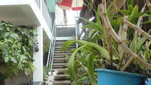 Ein mehrstöckiger Innenbereichsgarten mit verschiedenen Pflanzen und Orchideen, einer Treppe und einem blauen hängenden Topf.