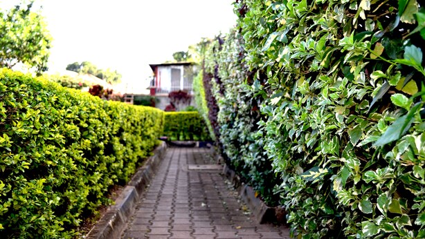 Jardín