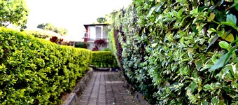Areba Hotel