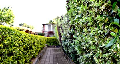 Areba Hotel