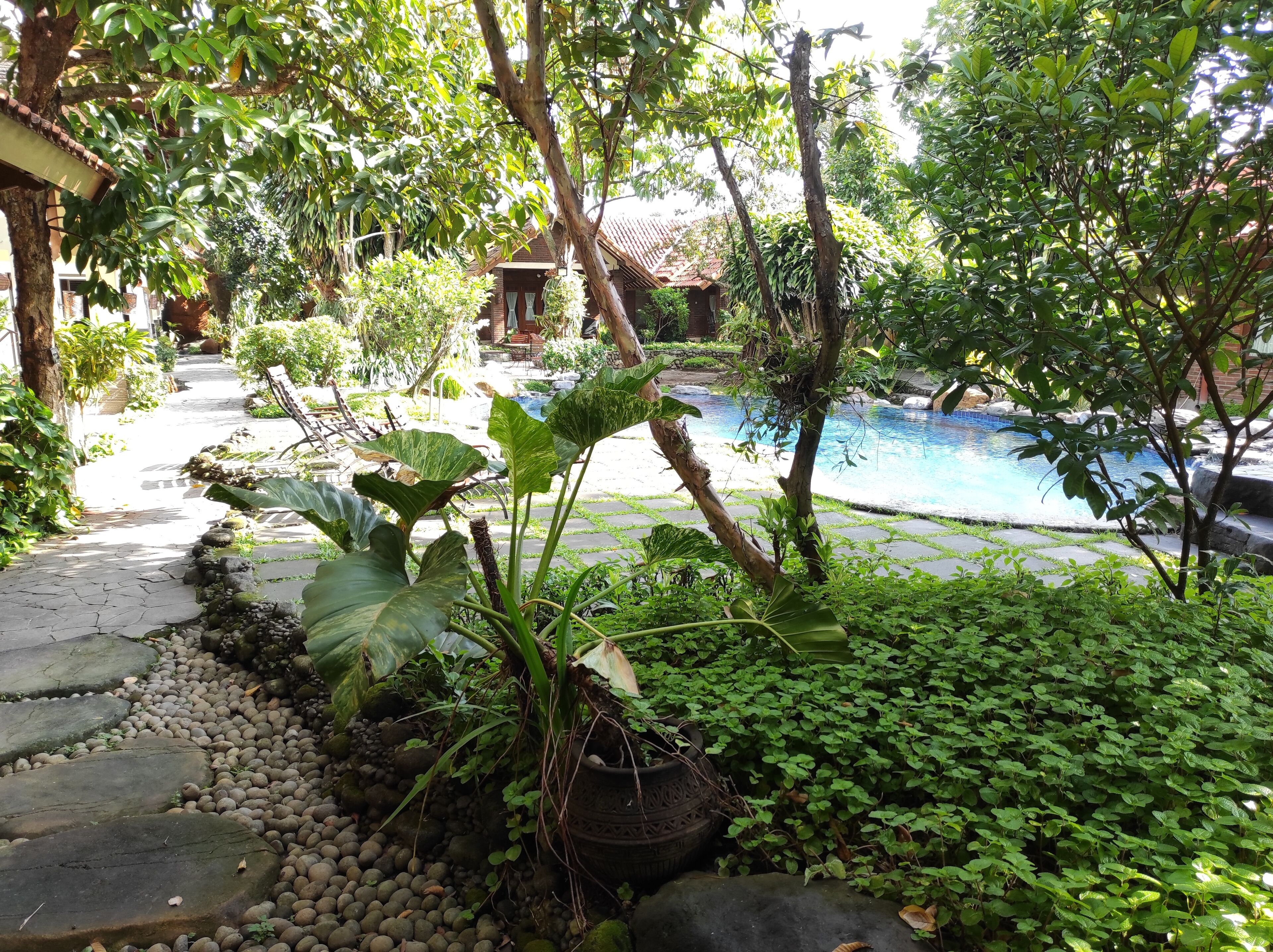 A garden with a stone pathway leading to a pool area surrounded by lush greenery and potted plants.