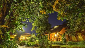Un sendero bien iluminado que lleva a un edificio tradicional, con un estanque y abundante vegetación.